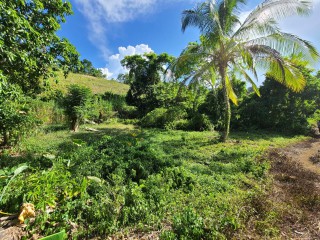 Residential lot For Sale in Colegate Ocho Rios, St. Ann Jamaica | [8]