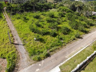 Residential lot For Sale in Mandeville, Manchester Jamaica | [10]