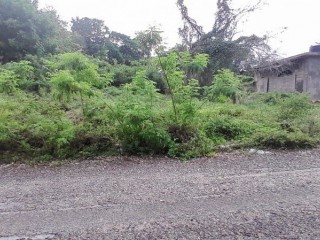 Land For Sale in Negril, Westmoreland Jamaica | [1]