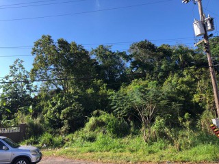 Residential lot For Sale in Mandeville, Manchester Jamaica | [1]