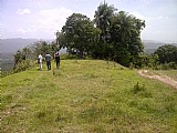 Commercial/farm land For Sale in Prospect, Clarendon Jamaica | [2]