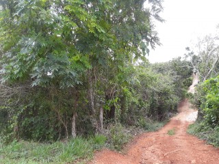 Residential lot For Sale in Cross Keys Manchester, Manchester Jamaica | [7]