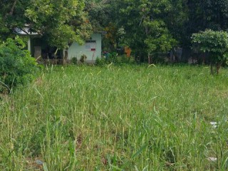 Residential lot For Sale in Anchovy, St. James Jamaica | [3]