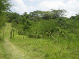 Residential lot For Sale in Anchovy, St. James Jamaica | [9]