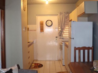 Apartment For Rent in New Kingston, Kingston / St. Andrew Jamaica | [4]