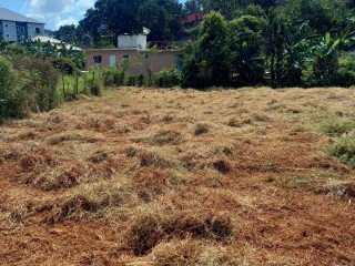 Residential lot For Sale - Mandeville, Manchester, Jamaica