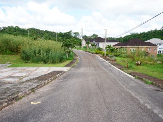 Residential lot For Sale in Mandeville, Manchester Jamaica | [4]