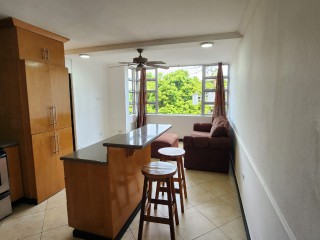 Apartment For Rent in Oxford Manor, Kingston / St. Andrew Jamaica | [7]