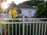 Flat For Rent in Anchovy St James, St. James Jamaica | [2]