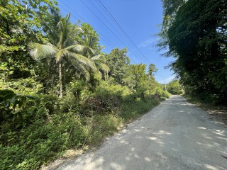 Commercial/farm land For Sale in Mullet Farm, Portland Jamaica | [3]