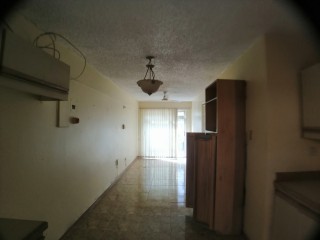 Apartment For Rent in New Kingston, Kingston / St. Andrew Jamaica | [4]