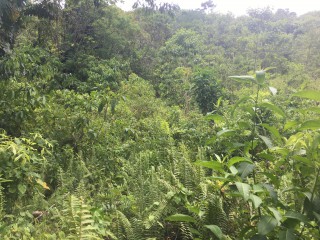 Residential lot For Sale in Port Antonio, Portland Jamaica | [6]