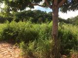 Residential lot For Sale in Alligator Pond Manchester, Manchester Jamaica | [1]