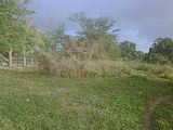 Residential lot For Sale in Near Blue Mahoe, St. Thomas Jamaica | [1]