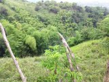 Residential lot For Sale in Jacks Hill, Kingston / St. Andrew Jamaica | [1]