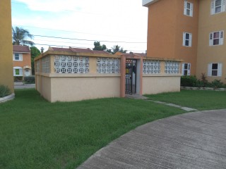 Apartment For Rent in Union Estate Twickenham Park, St. Catherine Jamaica | [8]