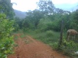 Residential lot For Sale in Porus, Manchester Jamaica | [1]