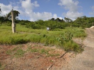 Residential lot For Sale in Mandeville, Manchester Jamaica | [1]