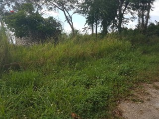 Residential lot For Sale in Red Hills, Kingston / St. Andrew Jamaica | [2]