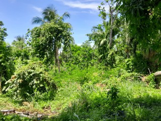 Land For Sale in Hopewell, Hanover Jamaica | [1]