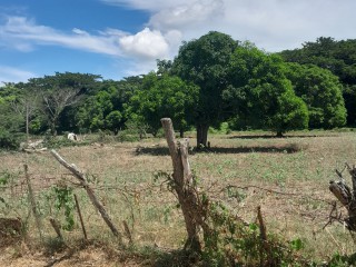 Residential lot For Sale in The Vineyards, St. Catherine Jamaica | [5]