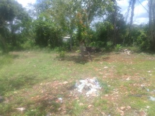 Commercial/farm land For Sale in Newport PO, Manchester Jamaica | [7]