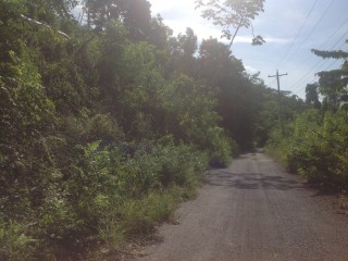 Residential lot For Sale in Runaway Bay, St. Ann Jamaica | [6]