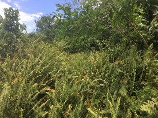 Residential lot For Sale in Port Antonio, Portland Jamaica | [11]