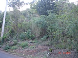 Residential lot For Sale in Bois Content, Clarendon Jamaica | [3]