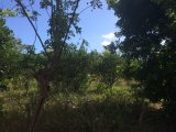 Residential lot For Sale in Danvers Pen, St. Thomas Jamaica | [3]