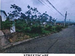 Residential lot For Sale in Freetown, Clarendon, Jamaica