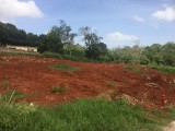 Residential lot For Sale in Mandeville, Manchester Jamaica | [2]