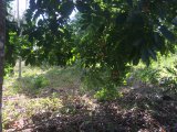 Residential lot For Sale in Danvers Pen, St. Thomas Jamaica | [9]