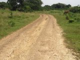 Residential lot For Sale in Black River, St. Elizabeth Jamaica | [8]