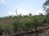 Residential lot For Sale in Junction, St. Elizabeth Jamaica | [9]