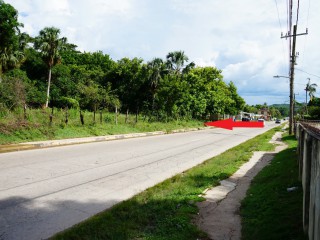 Land For Sale - Lacovia, St. Elizabeth, Jamaica