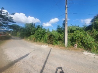 Commercial/farm land For Sale in Orangefield Ewarton, St. Catherine Jamaica | [2]