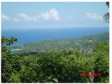 Residential lot For Sale in Boscobel, St. Mary Jamaica | [2]