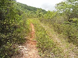 Residential lot For Sale in Spur Tree, Manchester Jamaica | [6]