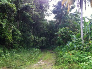 Residential lot For Sale in Hope Bay, Portland Jamaica | [1]