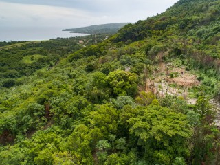  For Sale in Little Spring Garden, Portland Jamaica | [12]