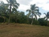 Commercial/farm land For Sale in Caama, St. Mary Jamaica | [2]