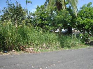 Land For Sale in Highgate, St. Mary Jamaica | [2]