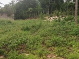 Residential lot For Sale in Balaclava, St. Elizabeth Jamaica | [3]