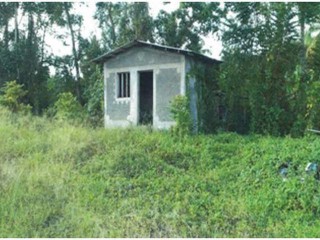 Commercial/farm land For Sale in Windsor, Portland Jamaica | [1]