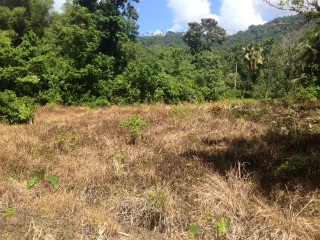 Commercial/farm land For Sale in Port Antonio, Portland Jamaica | [5]