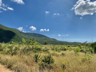 Residential lot For Sale in Mandeville, near Spur Tree, Manchester Jamaica | [1]