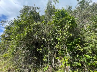 Residential lot For Sale in Red Hills, Kingston / St. Andrew Jamaica | [2]