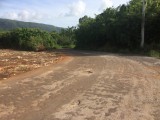 Residential lot For Sale in Alligator Pond Manchester, Manchester Jamaica | [4]