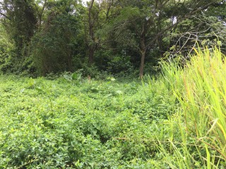 Residential lot For Sale in Fairy Hill, Portland Jamaica | [4]